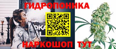 гашик Малгобек