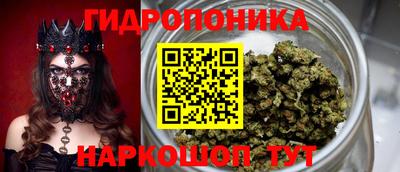 гашик Малгобек