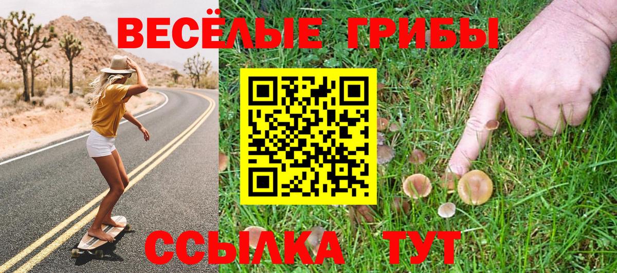Юрга  Псилоцибиновые грибы Magic Shrooms  Вход с VPN 