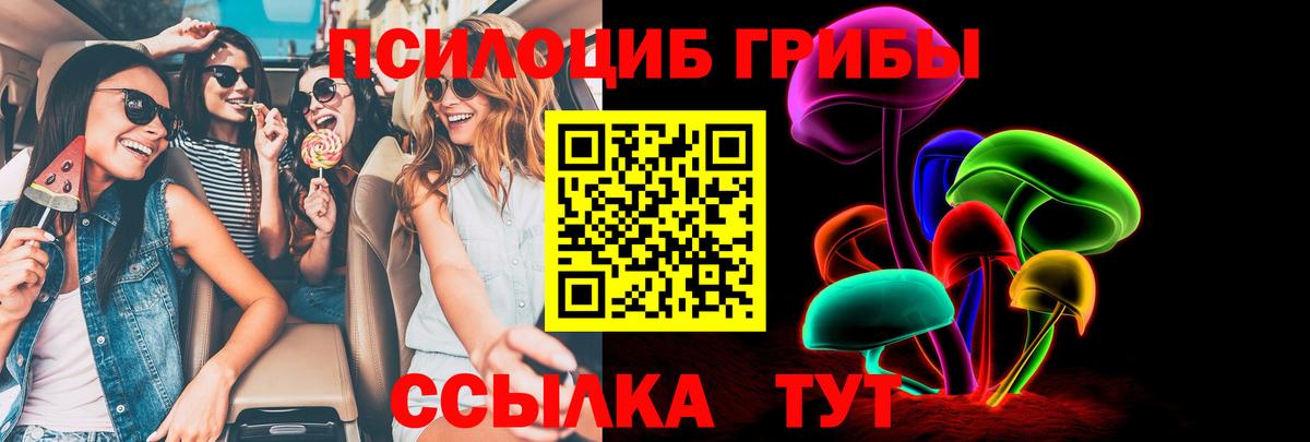 Галлюциногенные грибы мухоморы Юрга